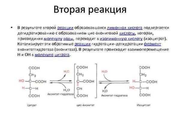 Магазин кракен даркнет сайт